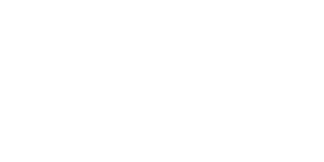 Monarch Insurance Company Ltd